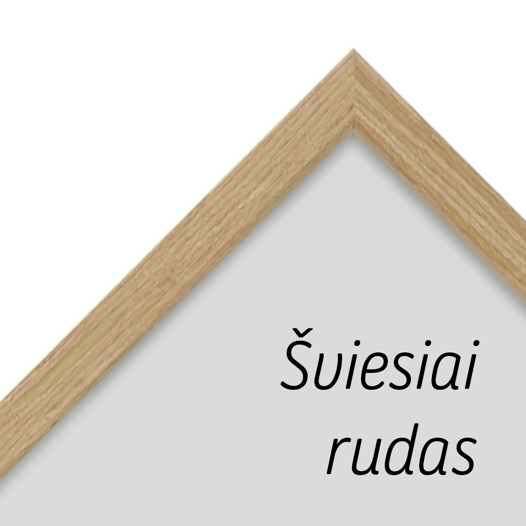 30x40cm_remelio_stiliaus_pavyzdys_01