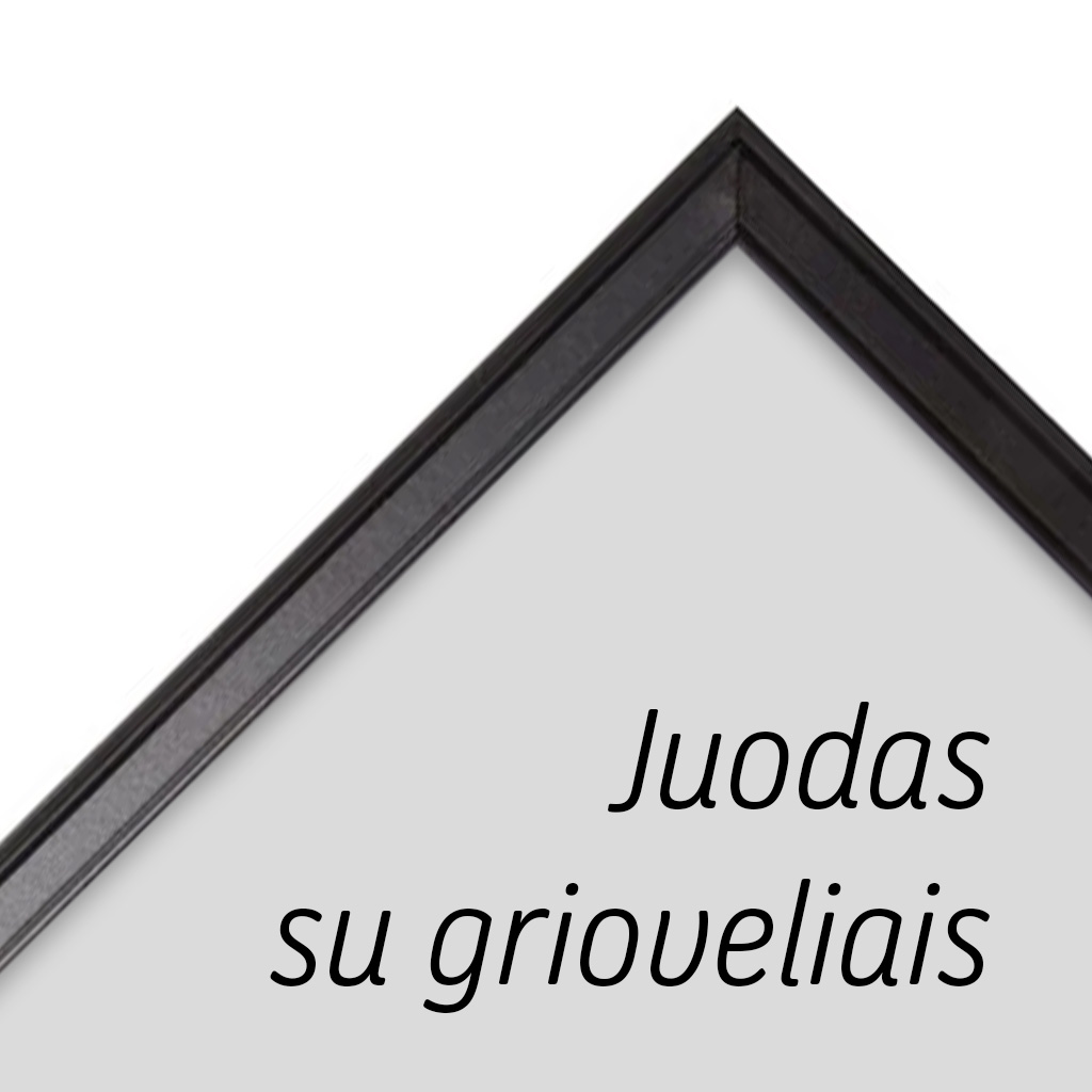 30x40cm_remelio_stiliaus_pavyzdys_05