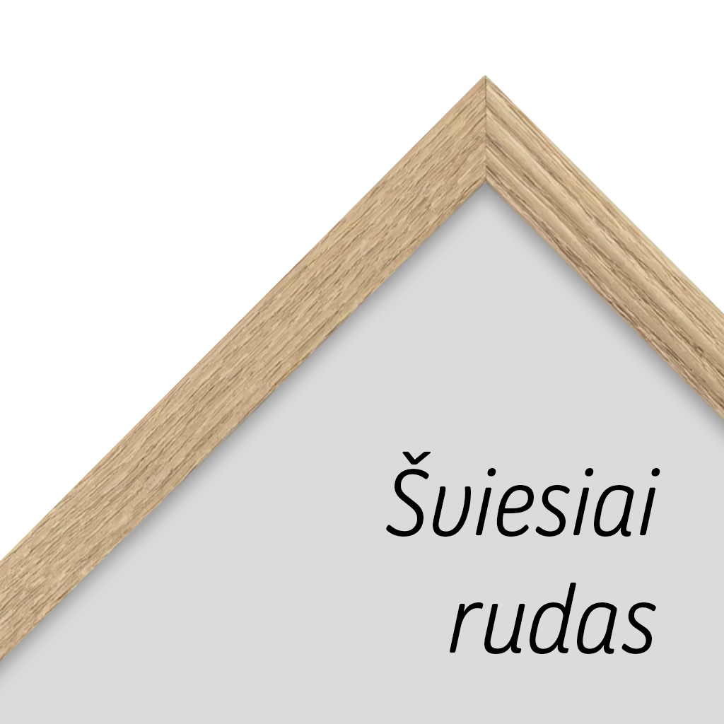 21x30cm_remelio_stiliaus_pavyzdys_01