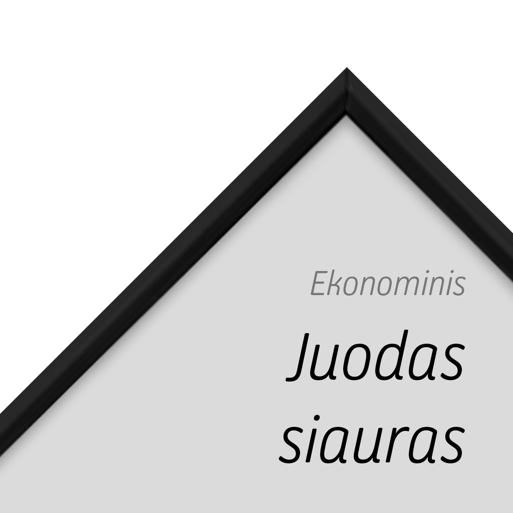 21x30cm_remelio_stiliaus_pavyzdys_02